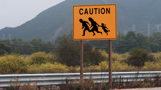 Illustration for article titled The ten weirdest road signs